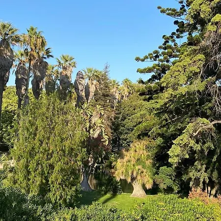 Belém Fantastic Triplex House *